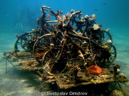 This is part of the Bio Rock Project in Pemuteran, Bali. ... by Svetoslav Dimitrov 