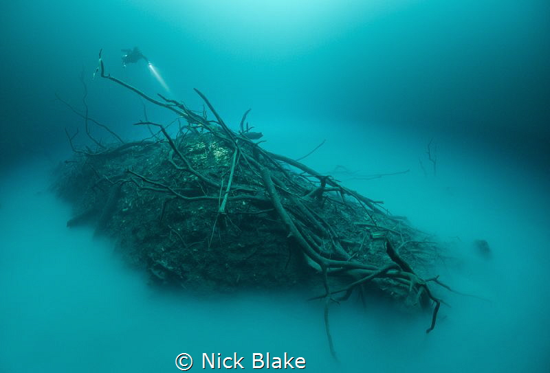 'Out of this World'
Angelina Cenote, Yucatan Peninsula
... by Nick Blake 