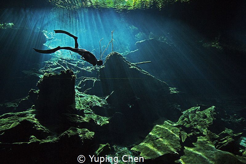 Freediver/ Cenote diving at Kukulcan, Tulum, Mexico. Cano... by Yuping Chen 