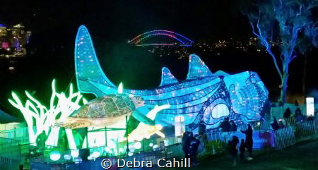 As part of this years Taronga Zoo Vivid there was these l... by Debra Cahill 