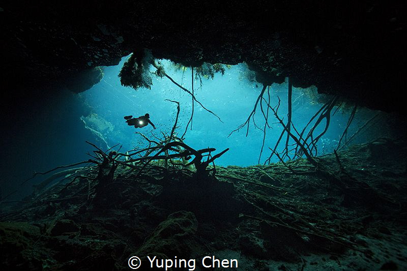 Cenote diving at Carwash, Tulum, Mexico. Canon 5D MarkIII... by Yuping Chen 
