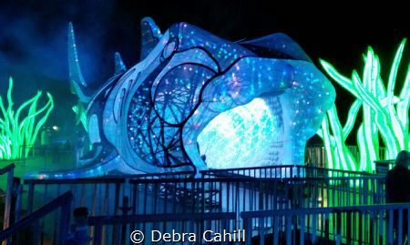 This giant light sculpture of a Port Jackson Shark which ... by Debra Cahill 