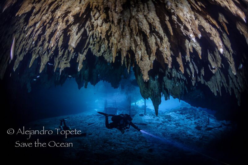 Diver in Dream Gates, Playa del Carmen Mexico by Alejandro Topete 