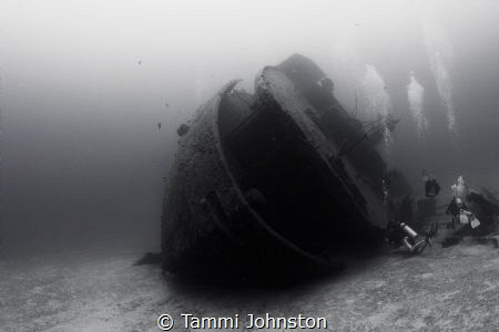 Wreck in Roatan Honduras by Tammi Johnston 