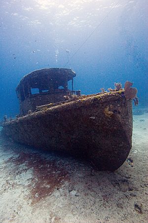 Wreck taken off the coast of Grand Bahama by Michael Shope 