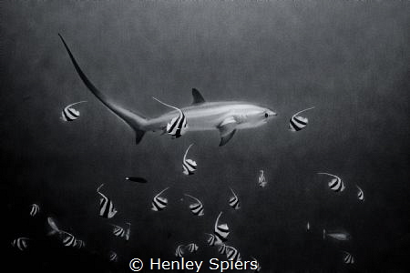 Breakfast at the Thresher Shark by Henley Spiers 