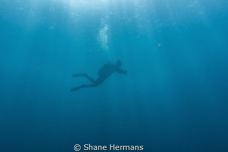 A Diver seen from afar in low visibility by Shane Hermans 