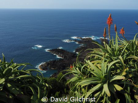 A lovely view of the ocean from the coast of the Azores, ... by David Gilchrist 