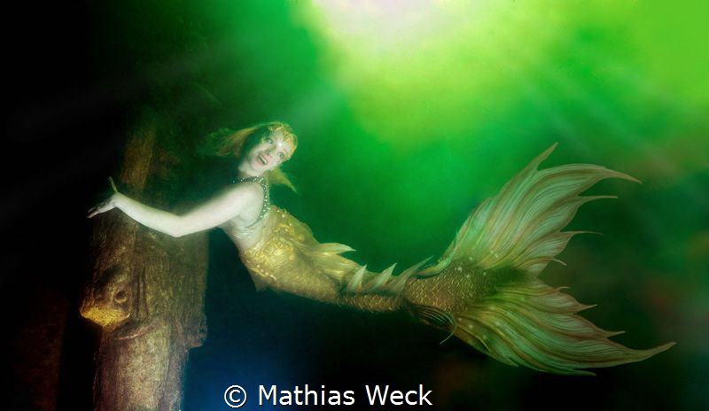 Mermaid Daniela Rodler in artificial lake "Natura Gart" i... by Mathias Weck 