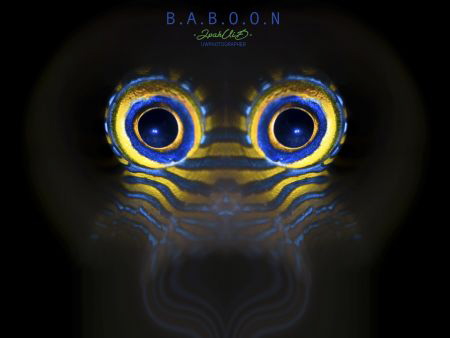 B.A.B.O.O.N by Ipah Uid 