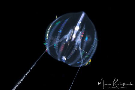 Underwater flying saucer by Mario Robillard 