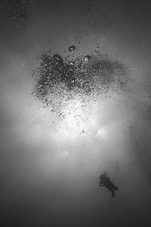Black and white shot of diver descending. Taken from abou... by Matthew Shanley 