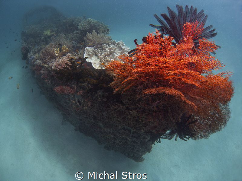 Artificial reef of Pemuteran (Biorock project) by Michal Stros 