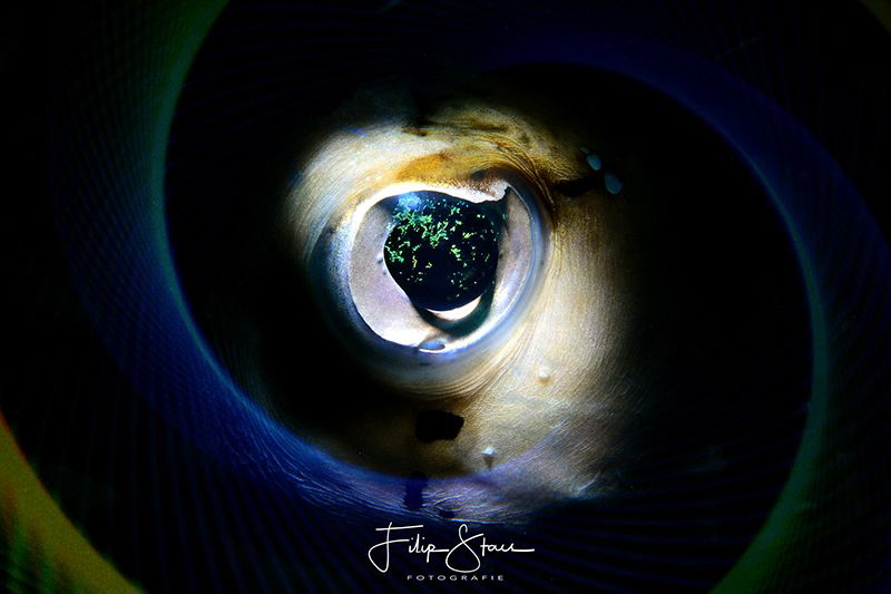 "The eye", double exposure inside the camera, La Paz, Mex... by Filip Staes 