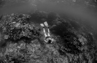 snorkelling between dives. by Gregory Grant 