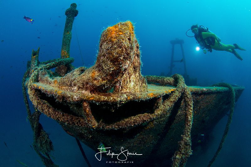 Liane at the Fang Ming wreck,La Paz, Mexico. by Filip Staes 