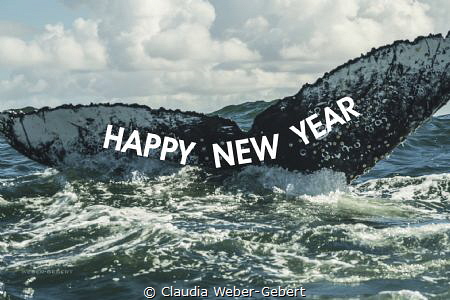 a happy new year to all of you <3 by Claudia Weber-Gebert 
