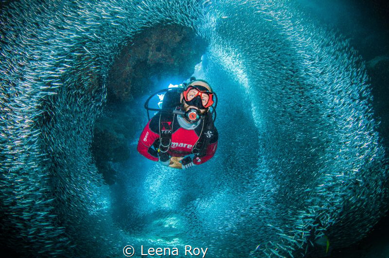Swimming through silversides by Leena Roy 