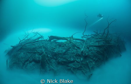 Angelita Cenote, Yucatan Peninsula, Mexico.
Nikon D810, ... by Nick Blake 
