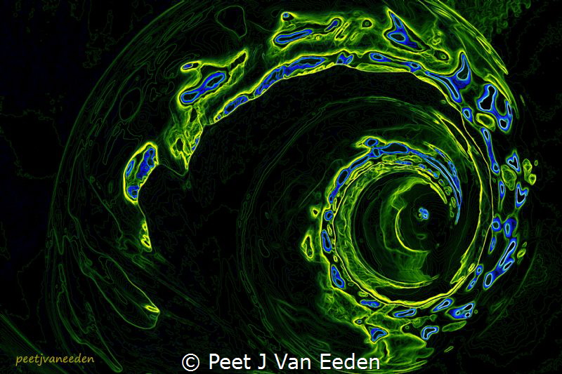 Fluorescence of an Abalone by Peet J Van Eeden 