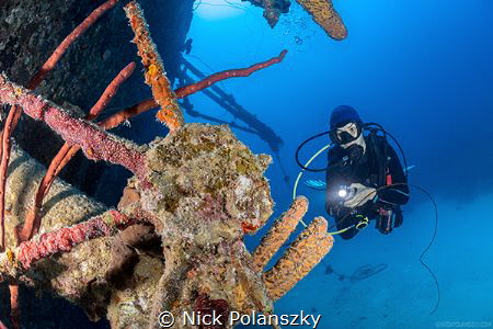 Scuba Diver checking out whats left of the wheel on the w... by Nick Polanszky 