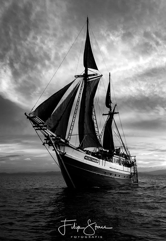 MS Ondina, Banda sea, Indonesia. by Filip Staes 