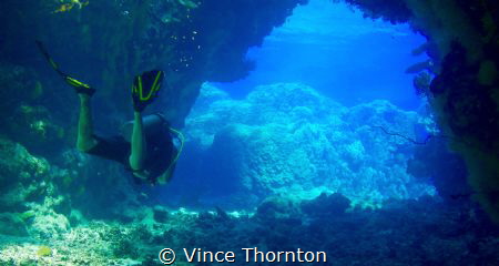 My dive buddy exiting the swim through cave systems at St... by Vince Thornton 