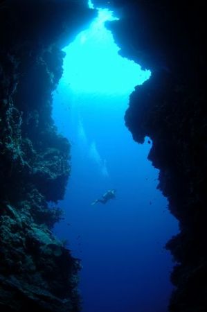 Diver swims past cave entrance, Bunaken National Park.
1... by Jean Tresfon 