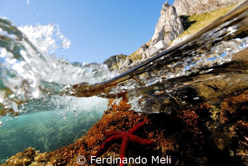 Underwater's star by Ferdinando Meli 