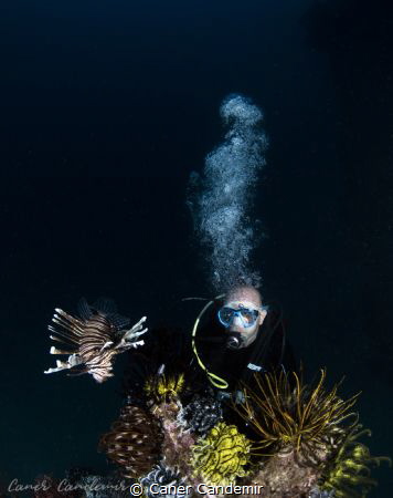Lion fish with underwater photographer in Kapalai Dive Re... by Caner Candemir 