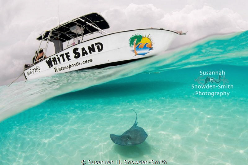 Stingray Sandbar is a special place to photograph on Gran... by Susannah H. Snowden-Smith 