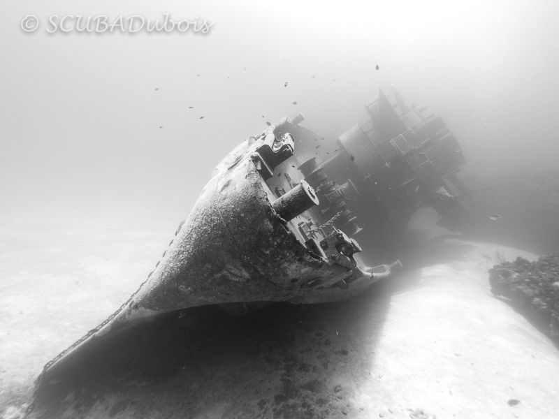 The USS Kittiwake has a ghostly feeling in black and whit... by Dwayne Dubois 