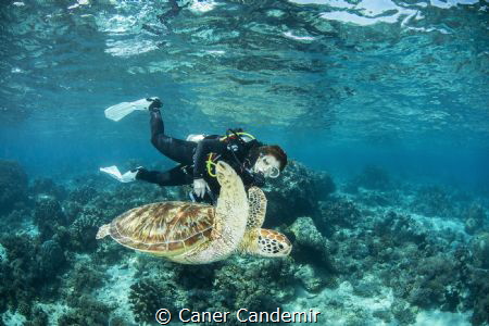 My wife and Green sea Turtle by Caner Candemir 