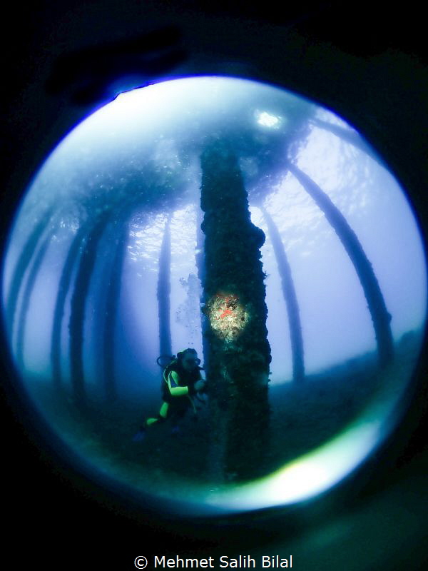 An Underwater photographer under the pier. by Mehmet Salih Bilal 