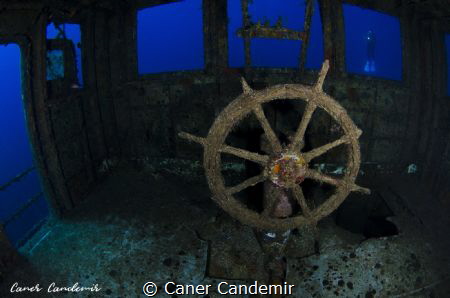 Pinar -1 Wreck in Bodrum by Caner Candemir 