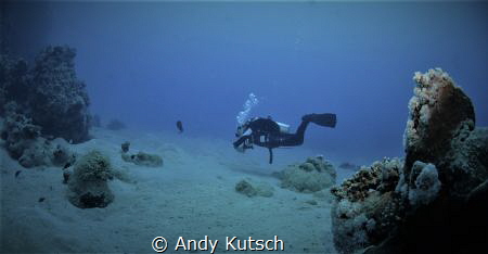 Diver on the reef by Andy Kutsch 