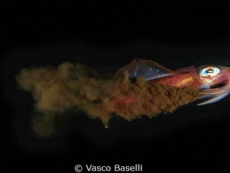 “Hasta luego” said this squid before disappearing into th... by Vasco Baselli 