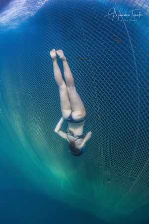 Freediver on the Cage, La Paz México by Alejandro Topete 
