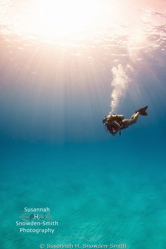"Where's The Wreck?"- A diver hovers in sunbeams over emp... by Susannah H. Snowden-Smith 