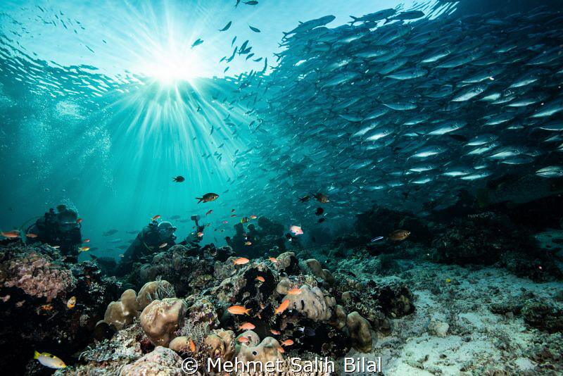 Morning in Sipadan. by Mehmet Salih Bilal 