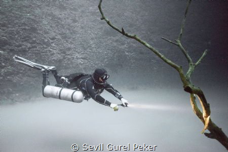 Cenote Angelita, 30 meters depth, on a layer of hydrogen ... by Sevil Gurel Peker 