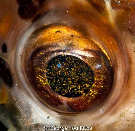 Galactic Eye!!! by George Touliatos 