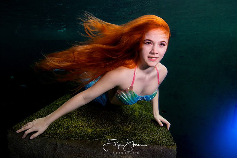 Mermaid Lexie, TODI, Belgium by Filip Staes 