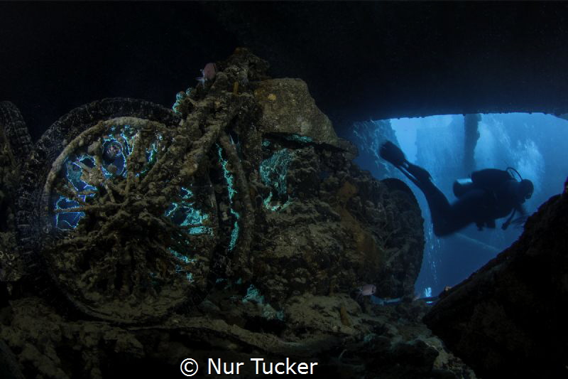 Inside the Thistlegorm Wreck in the Red Sea by Nur Tucker 