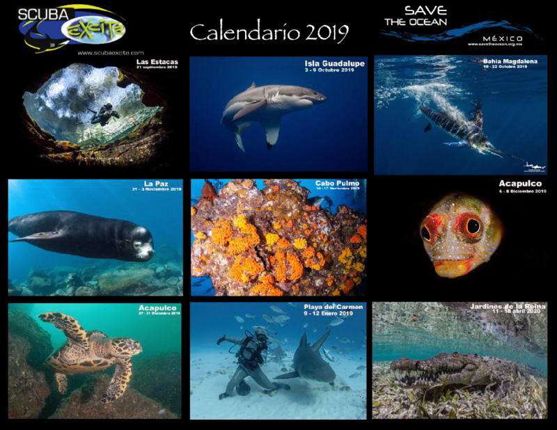Calendar 2019, Mexico by Alejandro Topete 