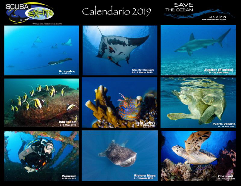 Calendar 2019,Mexico by Alejandro Topete 