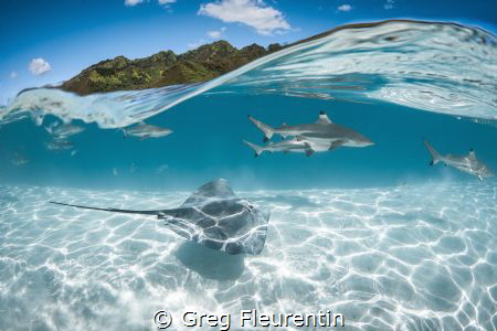 Under a wave in Moorea by Greg Fleurentin 