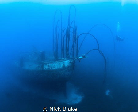 Wiebeke wreck and diver, St Lucia. by Nick Blake 