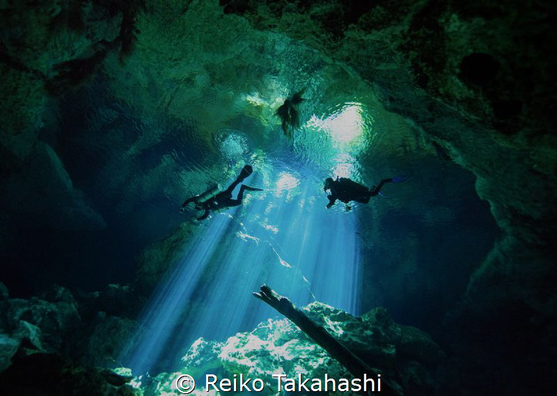 I dived for the first time in Cenote. Although I had divi... by Reiko Takahashi 