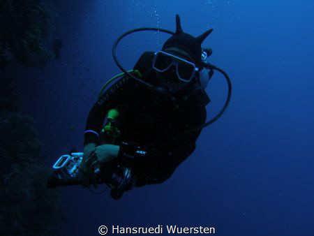 Nudibranch with camera by Hansruedi Wuersten 